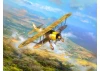 CR. 42 Falco - WWII Italian Fighter Plane