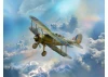 Gloster Gladiator Mk.II - WWII British Fighter Plane