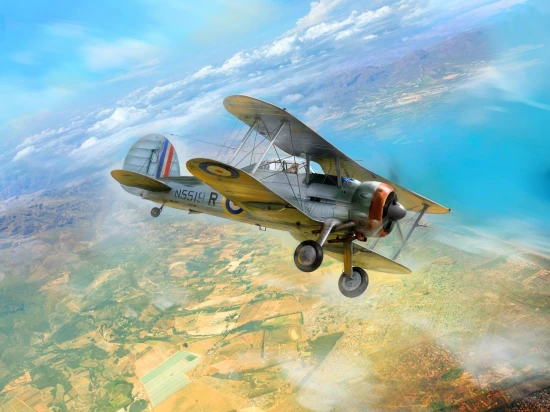 Gloster Sea Gladiator Mk.II - WWII British Naval Fighter Plane