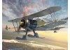 J-8 Gladiator - WWII Swedish Fighter Plane