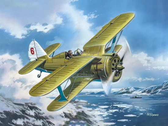 I-153 Chaika - WWII Soviet Biplane Fighter