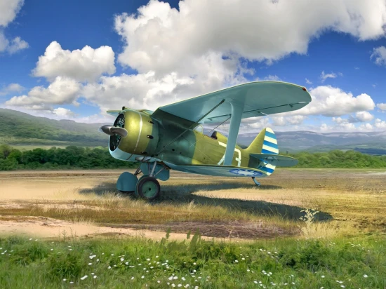 I-153 - WWII China Guomindang AF Fighter