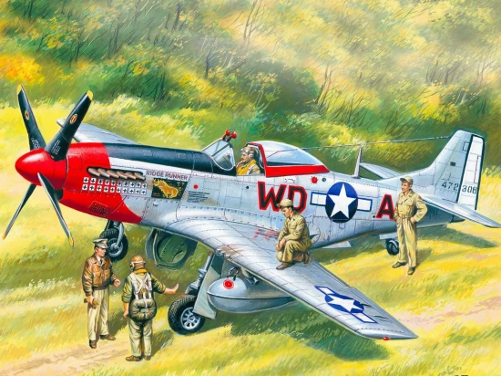 Mustang P-51D with USAAF Pilots and Ground Personnel
