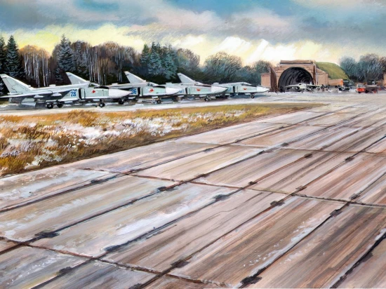 Soviet PAG-14 Airfield Plates (32 pieces) (543×324 mm)