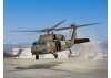 UH-60A Black Hawk with crew