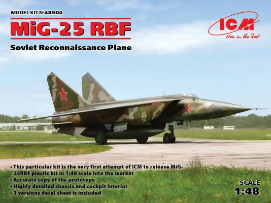 MiG-25 RBF - Soviet Reconnaissance Plane
