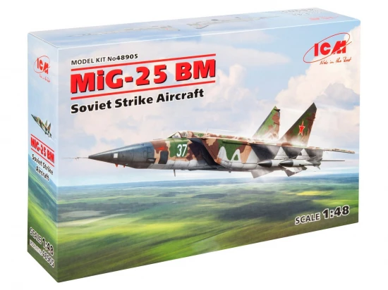 MiG-25 BM - Soviet Strike Aircraft