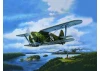 I-153 Chaika - WWII Soviet Biplane Fighter
