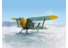 I-153 - WWII Finnish Air Force Fighter (winter version)