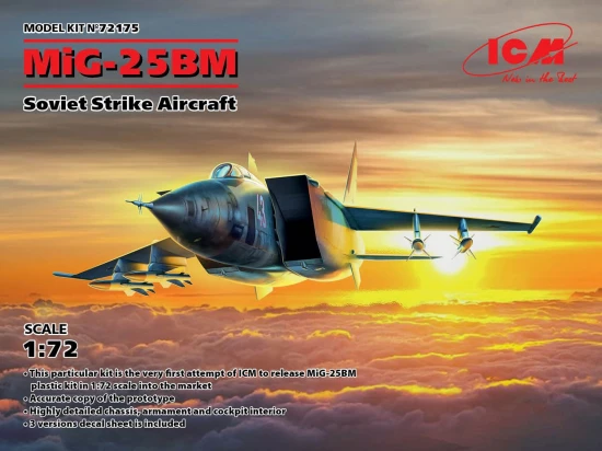 MiG-25 BM - Soviet Strike Aircraft