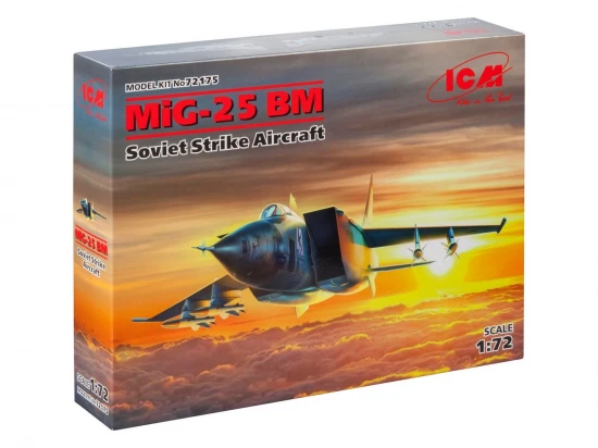 MiG-25 BM - Soviet Strike Aircraft