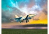 MiG-25 RU - Soviet Training Aircraft