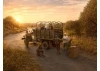 Festive dinner on the front line (WWII US Army Kitchen Truck - US Field Stove M1937 with cooks)