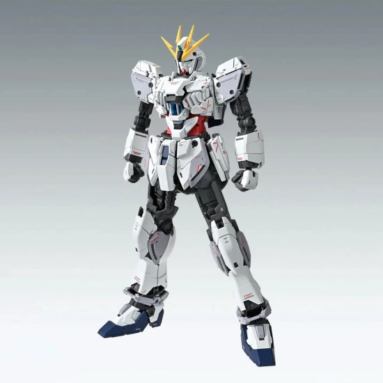 MG 1:100 Narrative Gundam C-Packs Version Ka