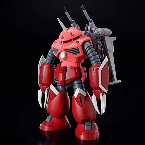 HG 1:144 ZGok (Seed Freedom Version)