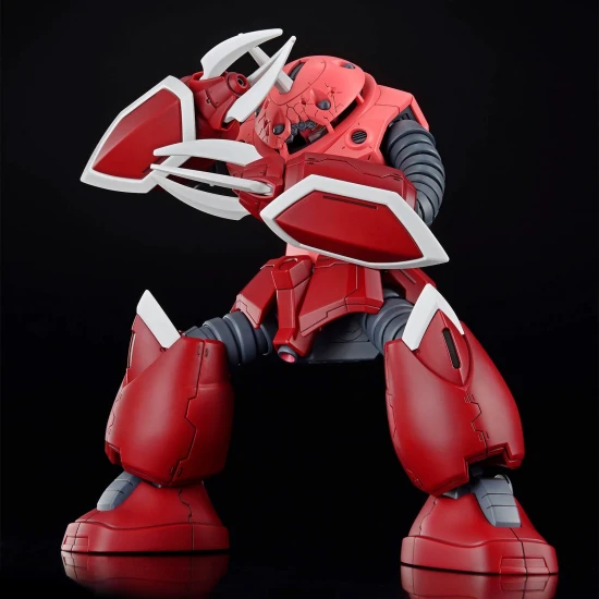 HG 1:144 ZGok (Seed Freedom Version)
