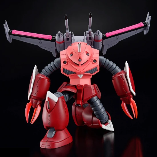 HG 1:144 ZGok (Seed Freedom Version)