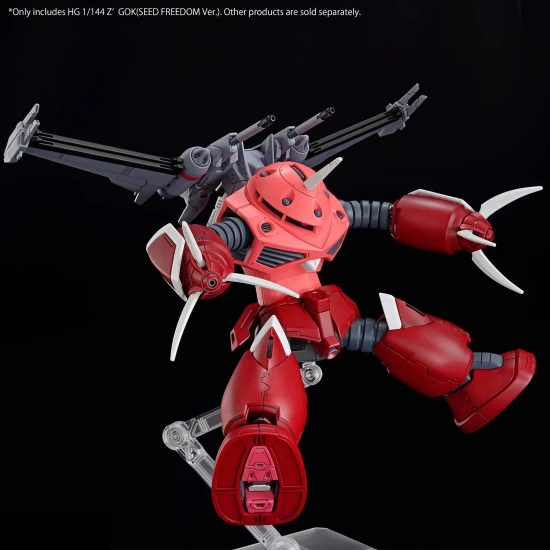 HG 1:144 ZGok (Seed Freedom Version)