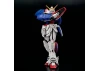 RG 1:144 Shining Gundam