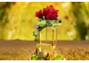Le Petit Prince™ Rose Swing - 234 pcs