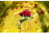 Le Petit Prince™ Rose Swing - 234 pcs