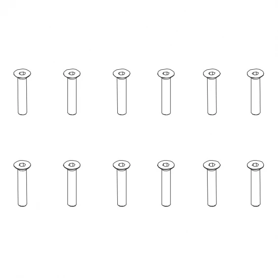 Flat Head Hex ScrewHM3*16 12PCS