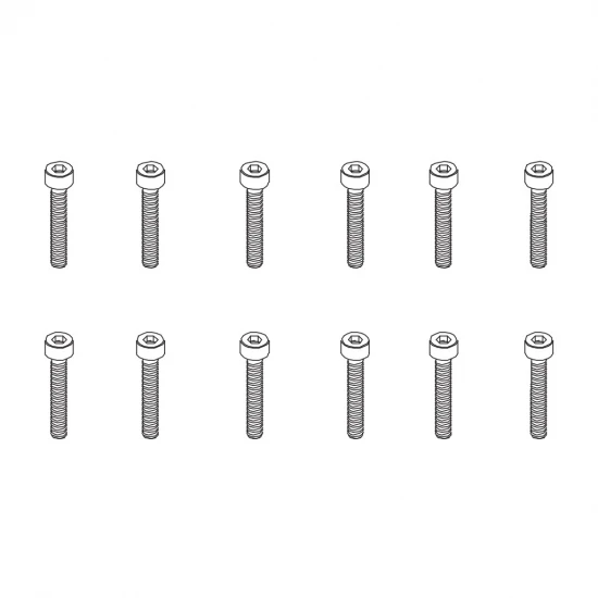 Hex Screw HM2.5*10 12PCS