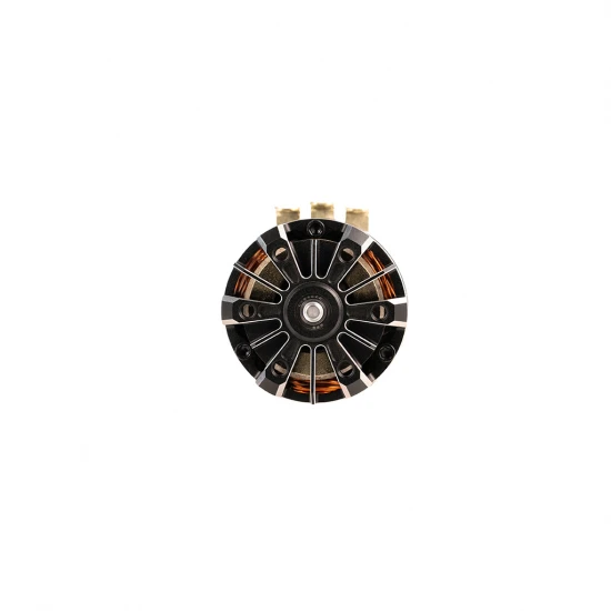 Hobbywing Xerun V10 17.5T G5 Torque Black Motor