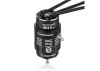 Hobbywing Seaking 3674Sl 2300Kv Black Motor V2