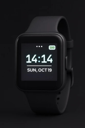 IWI Pit Watch