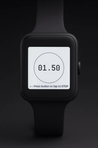 IWI Pit Watch