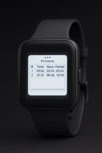 IWI Pit Watch