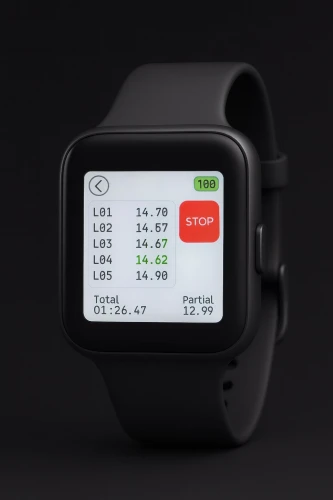 IWI Pit Watch