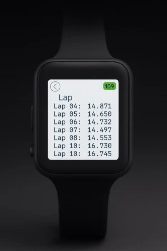 IWI Pit Watch
