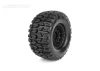 Jetko EX Slayer Belted XMT Tyres on Black 24mm Hex Wheels (2)