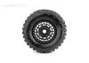 Jetko EX Slayer Belted XMT Tyres on Black 24mm Hex Wheels (2)