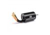 Firma 3650 4000Kv 4-Pole Sensorless Brushless Motor: 5mm