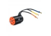 Firma 2436 4500Kv 4-Pole Sensorless Brushless Motor: Minis