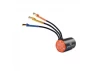 Firma 2436 4500Kv 4-Pole Sensorless Brushless Motor: Minis