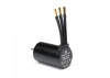 Firma 3660-4000Kv 4-Pole Sensorless Brushless Motor: 5mm