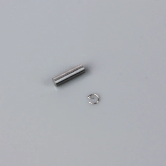 SC Gudgeon Pin and Cap (for SCAP06)