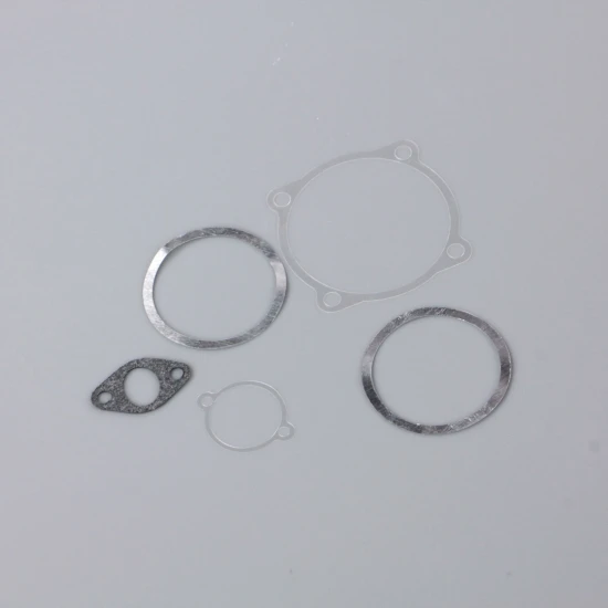 SC Gasket set, cylinder head, backplate, cam plate, inlet manifold (for SC120FS)