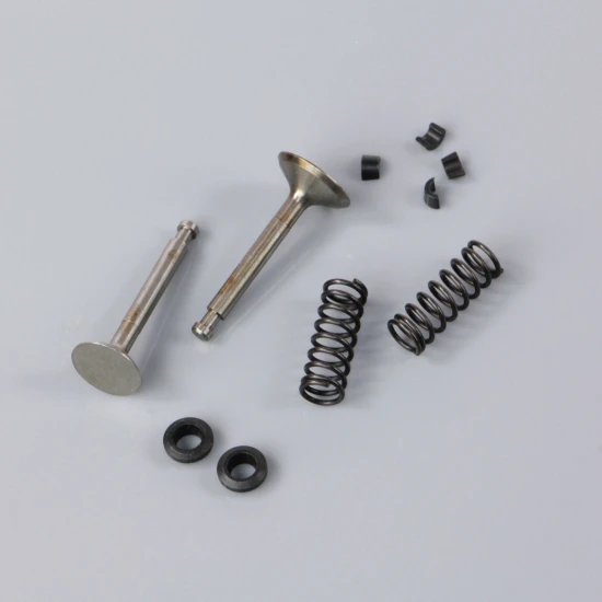 SC Valve set (for SC120FS)