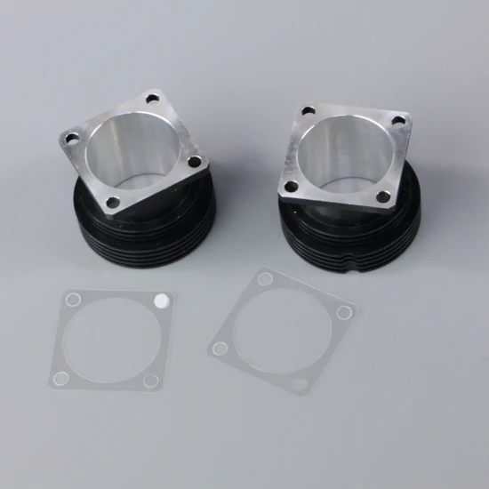SC Cylinder and Gasket (1) (for SC160FS)
