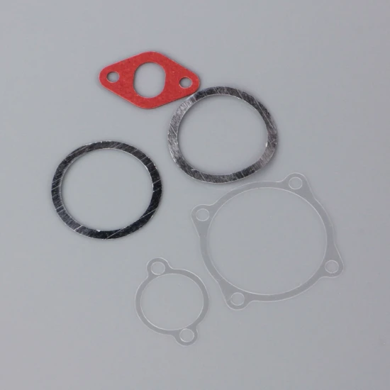 SC Gasket set, cylinder head, backplate, cam plate, inlet manifold) (for SC30FS)
