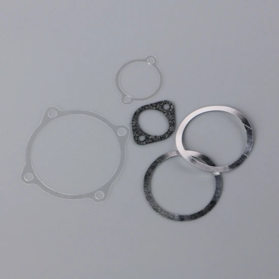 SC Gasket set, cylinder head, backplate, cam plate, inlet manifold) (for SC70FS)