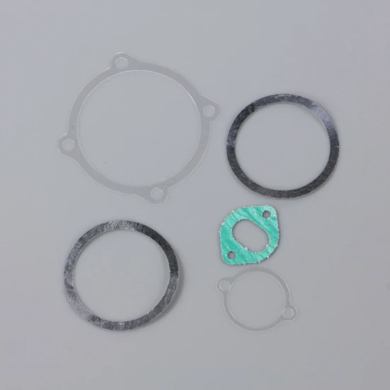 SC Gasket set, cylinder head, backplate, cam plate, inlet manifold (for SC91FS)