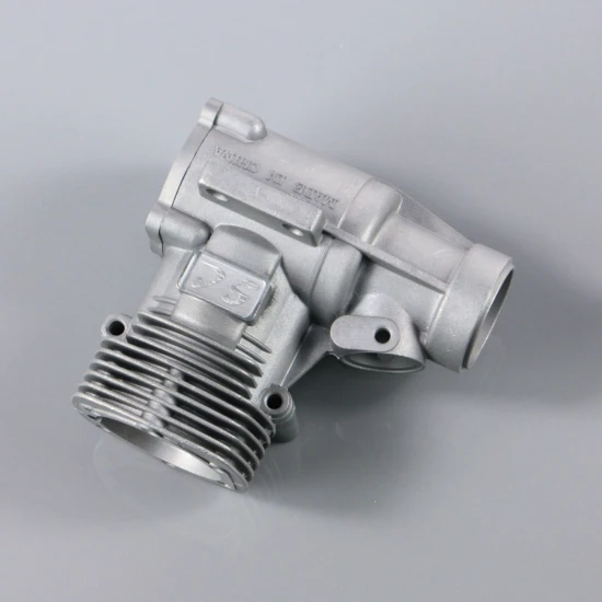 SC Crankcase and back plate (for SC46A-S)