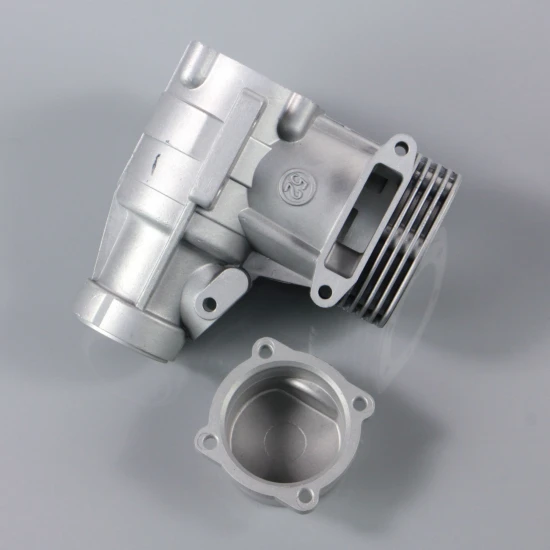 SC Crankcase and back plate (for SC52A-S)