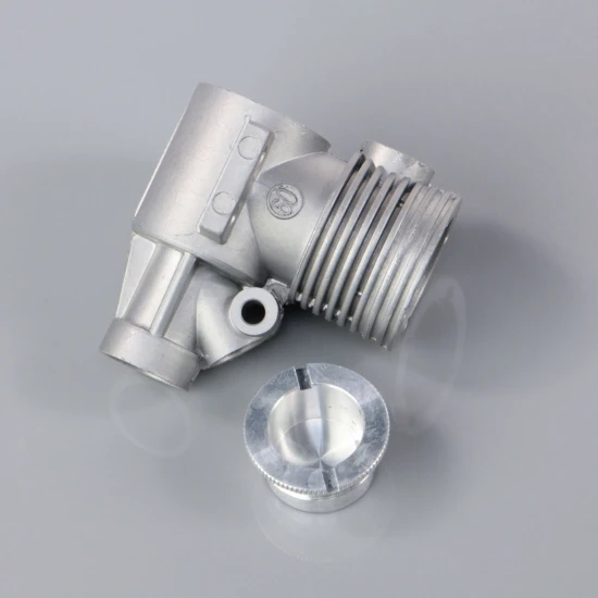 SC Crankcase and back plate (for SCAP09)